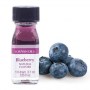 0480-0100-blueberry-B